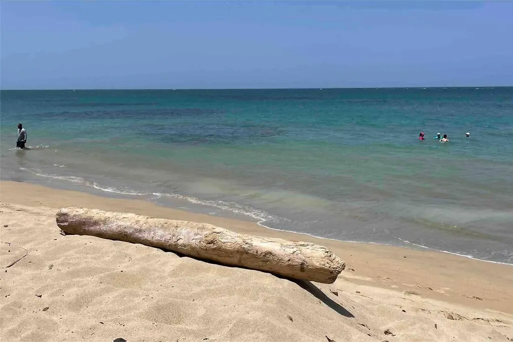 Beachfront Paradise Mesmerizing View - Sea&Sun Stay Loiza